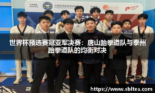 世界杯预选赛冠亚军决赛：唐山跆拳道队与泰州跆拳道队的均衡对决