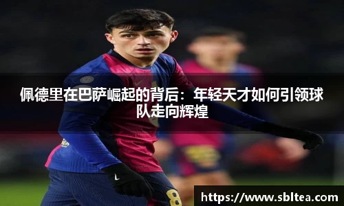 EMC易倍体育平台